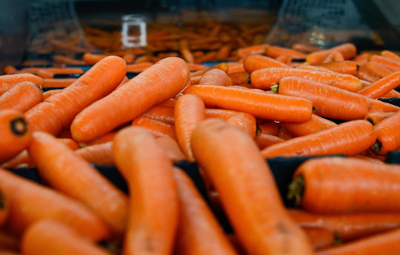 Fruit And Veg Browse Image