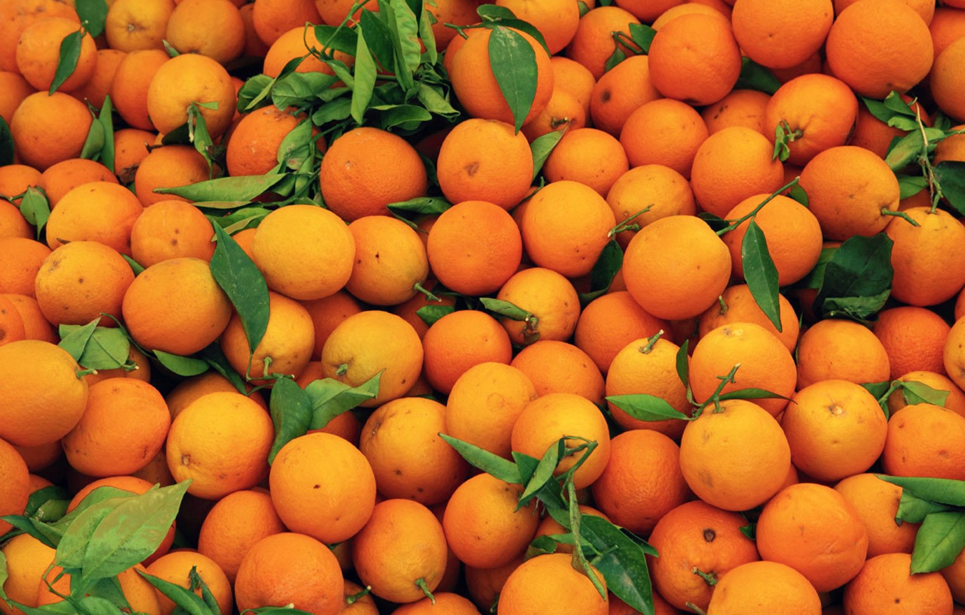 Fruit Browse Image