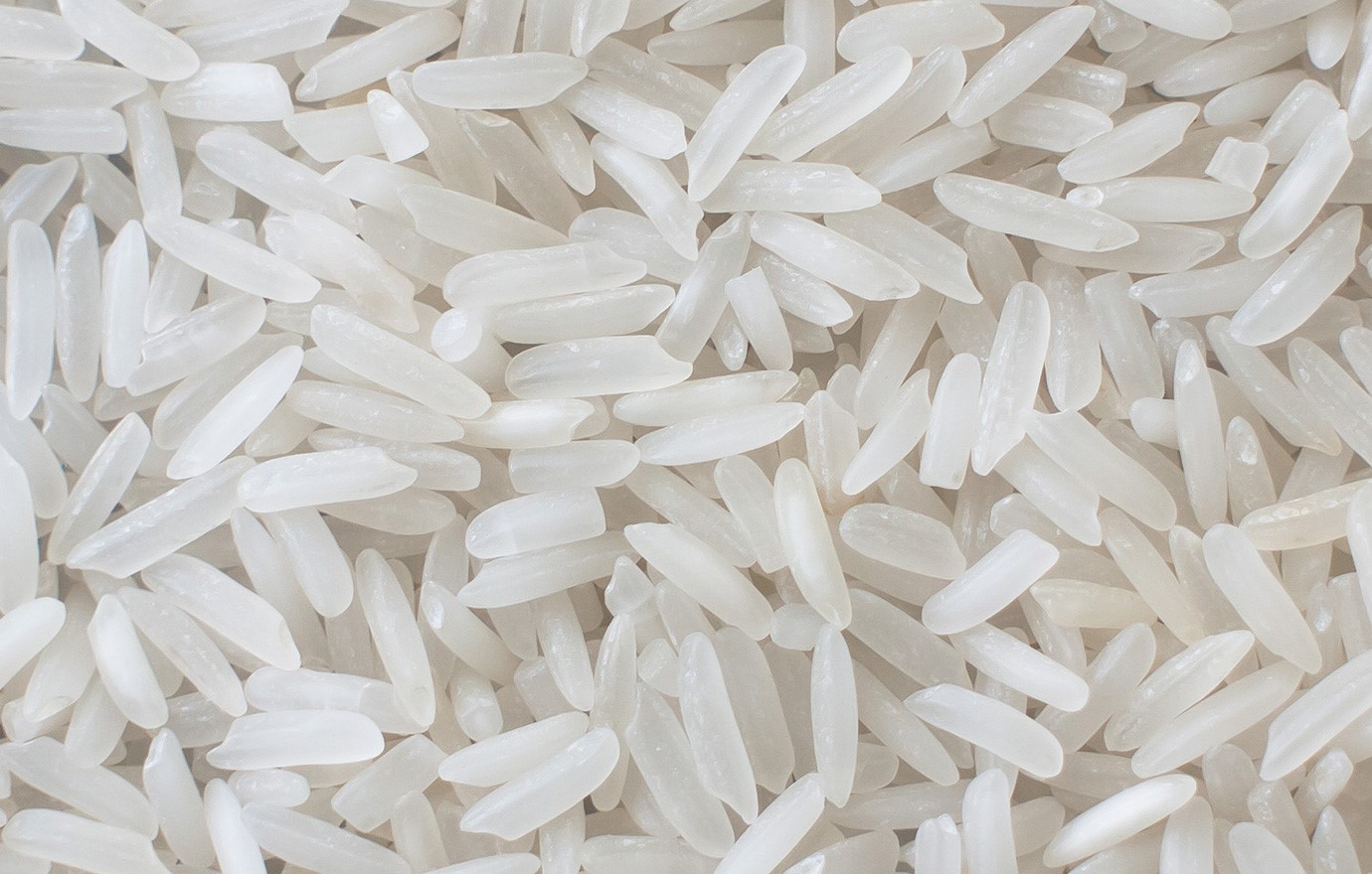 Rice Browse Image