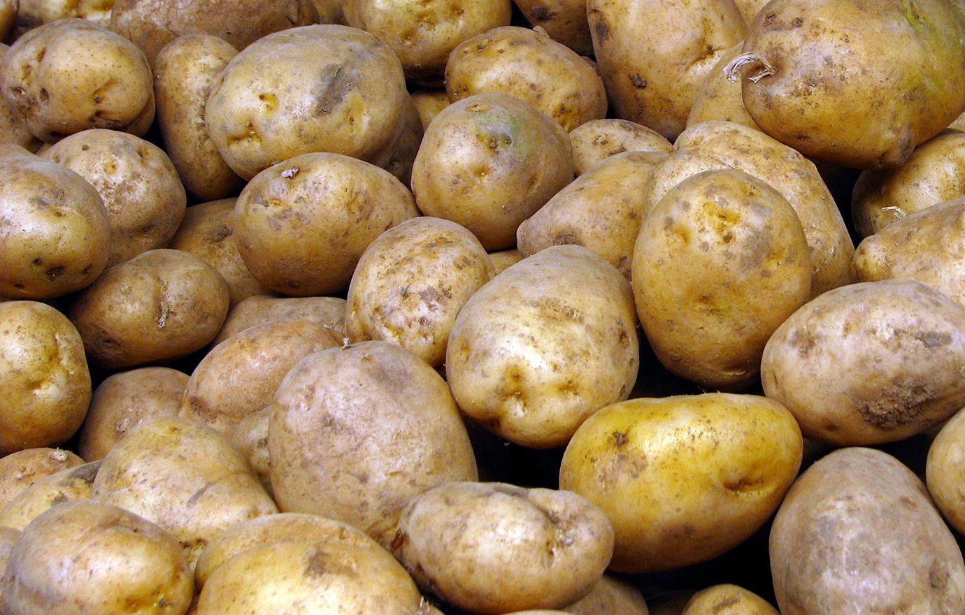 Root Veg Browse Image