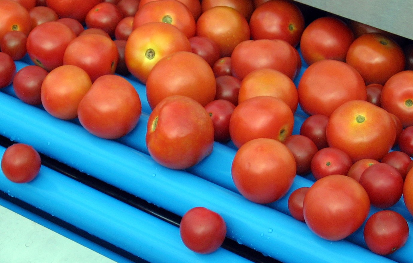 Salad Browse Image